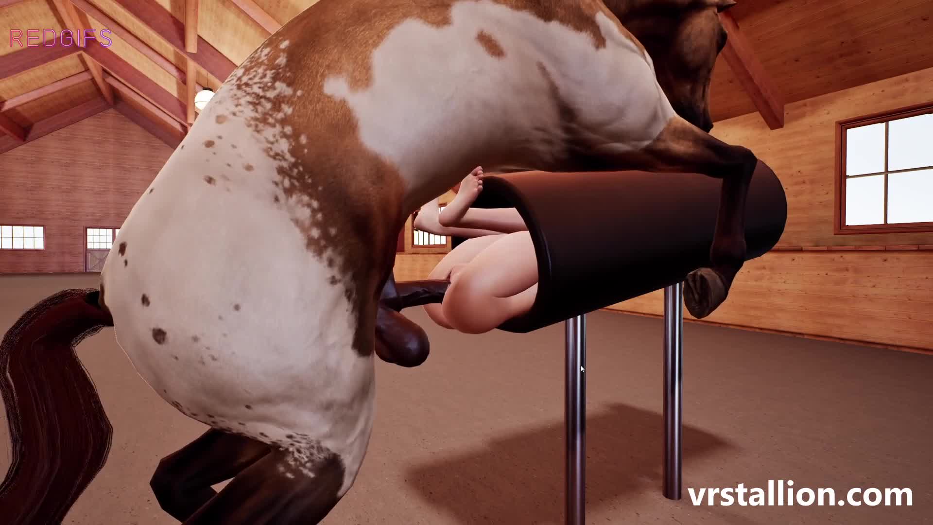Stuck in a breeding mount (VR Stallion)