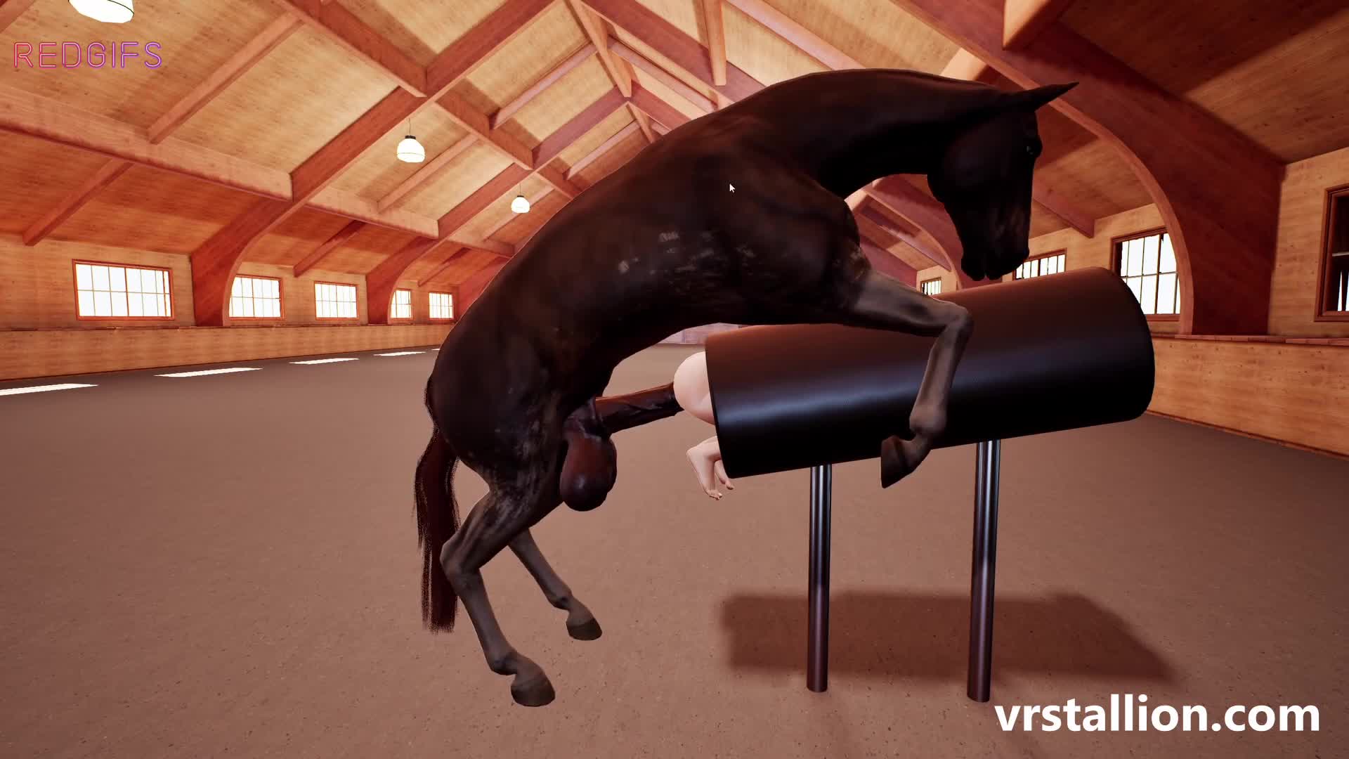 Getting Stretched by her Stud (VR Stallion)